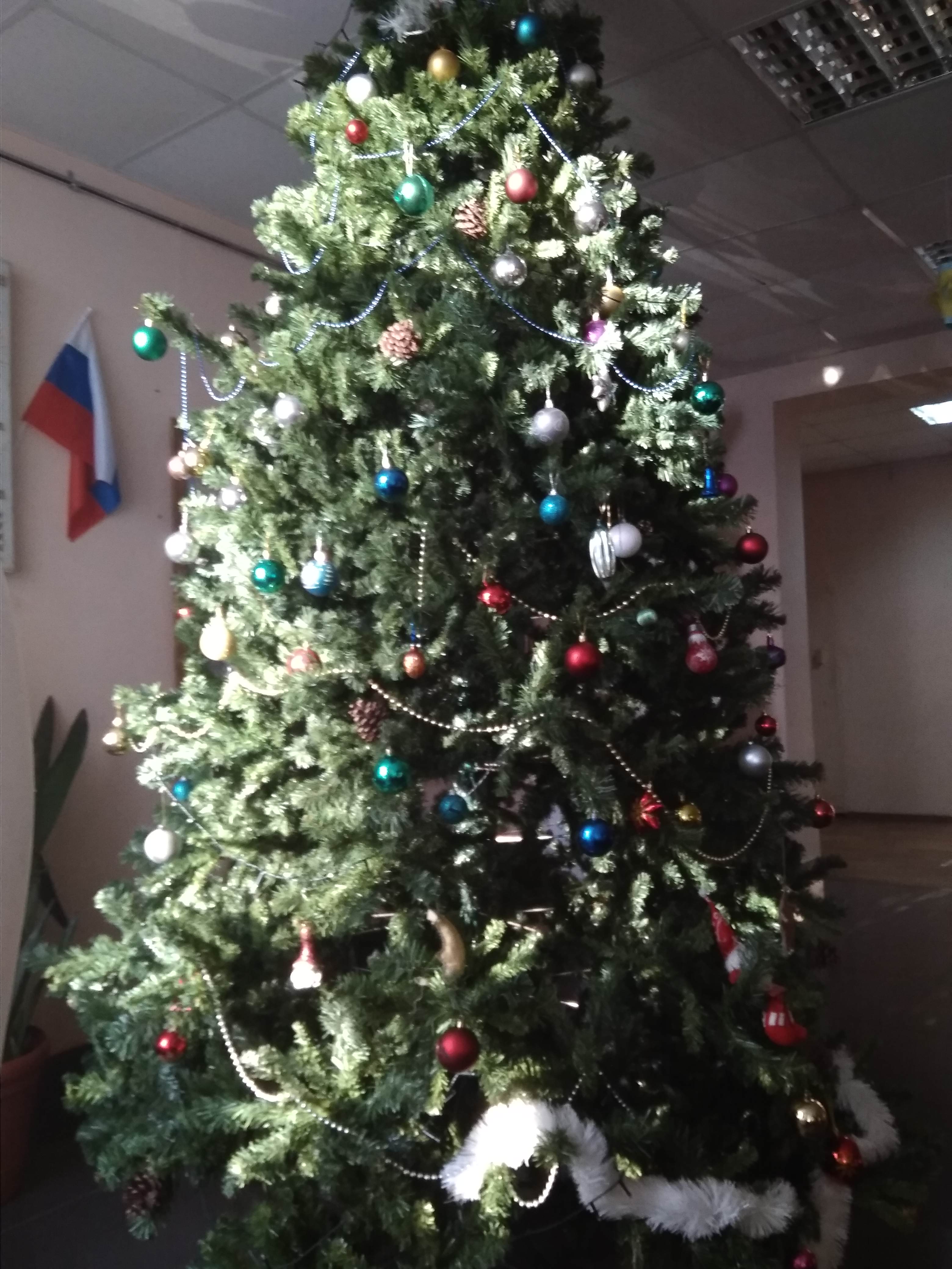IMG 20221202 124601